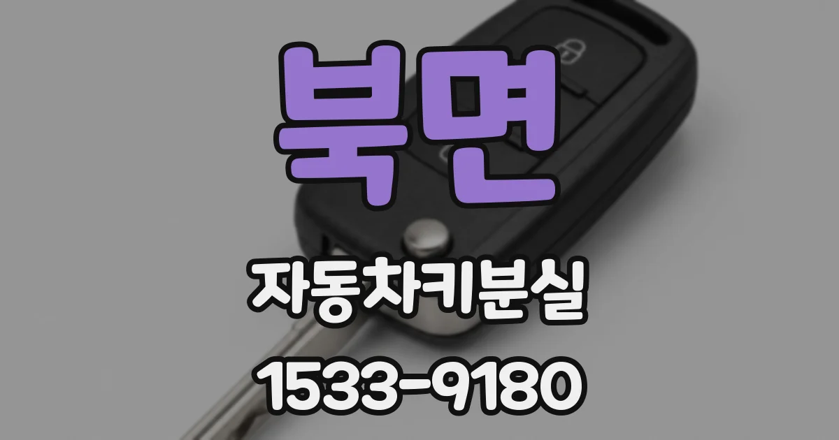 북면 자동차키분실