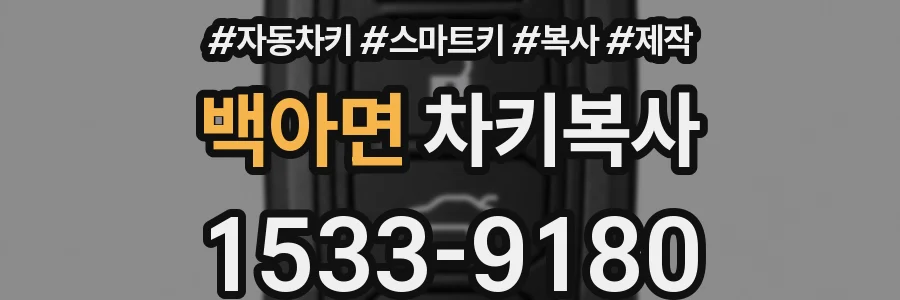 백아면 차키복사