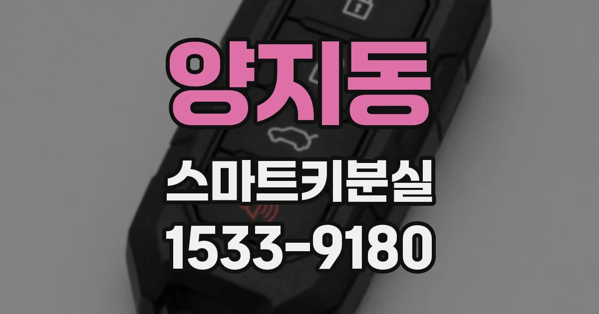 양지동 스마트키분실