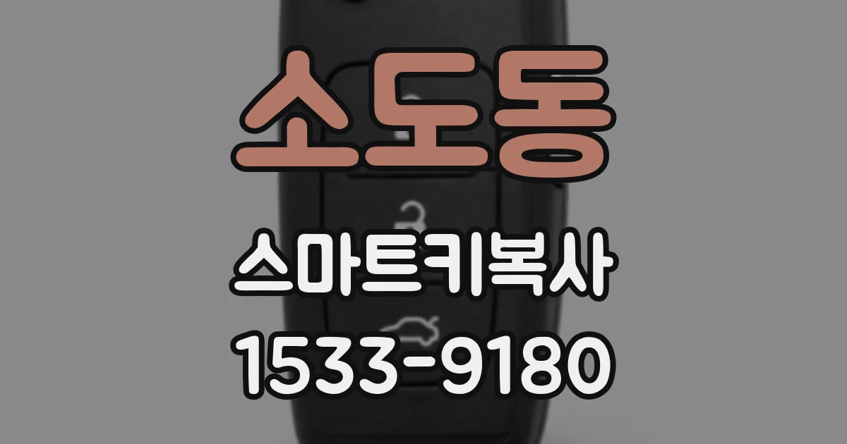 소도동 스마트키복사