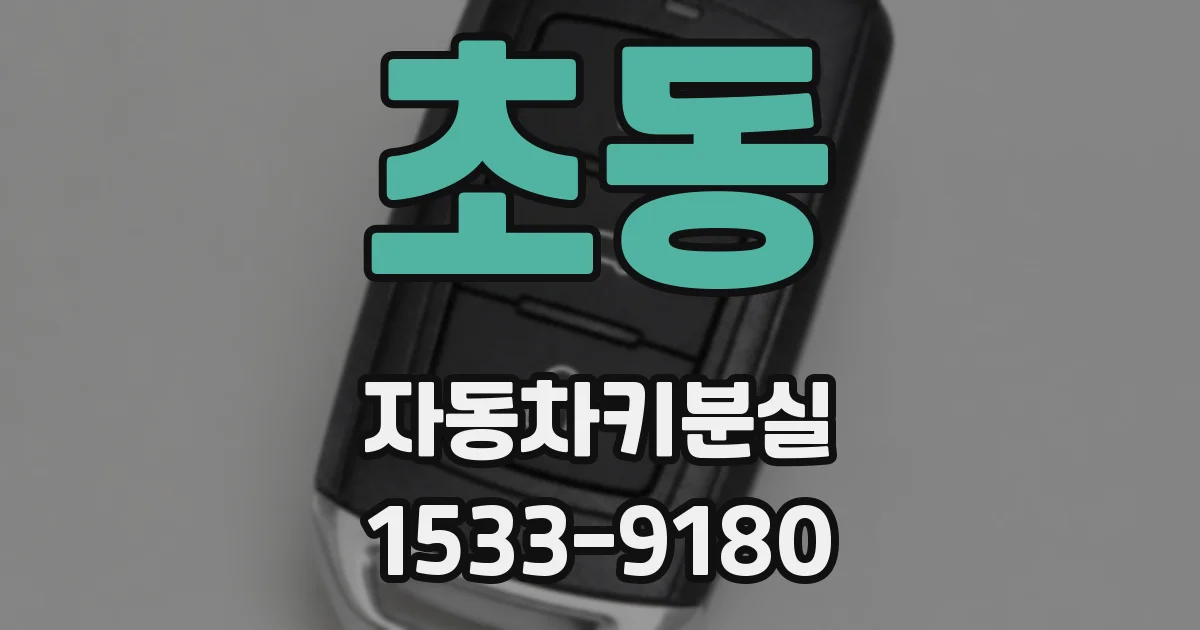 초동 자동차키분실
