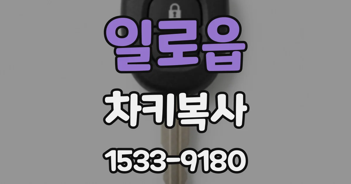 일로읍 차키복사