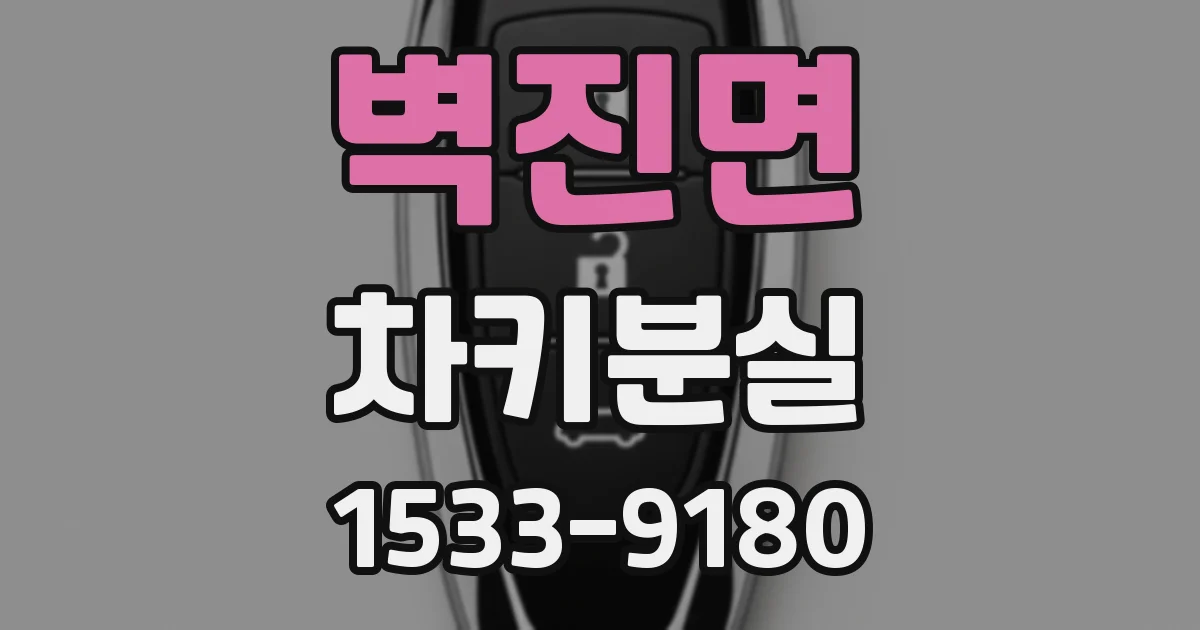 벽진면 차키분실