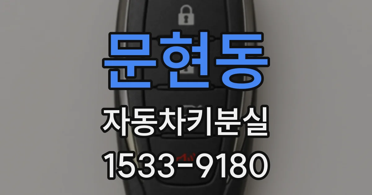 문현동 자동차키분실