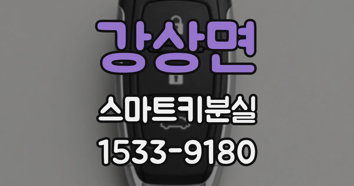 강상면 스마트키분실