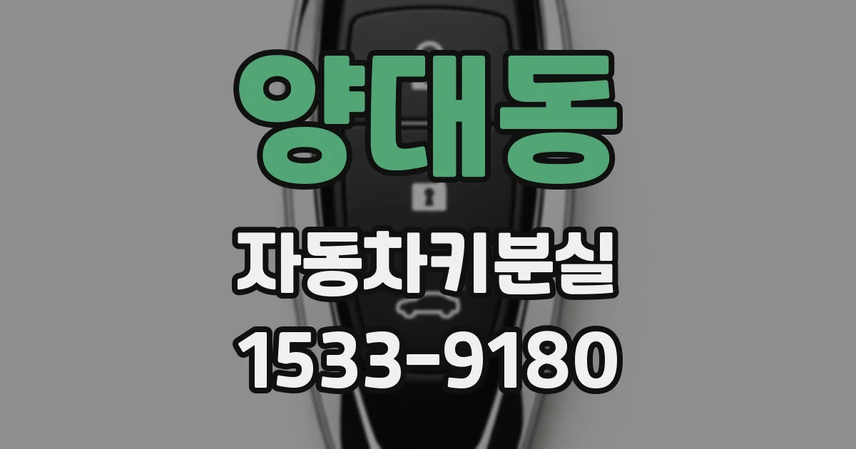양대동 자동차키분실