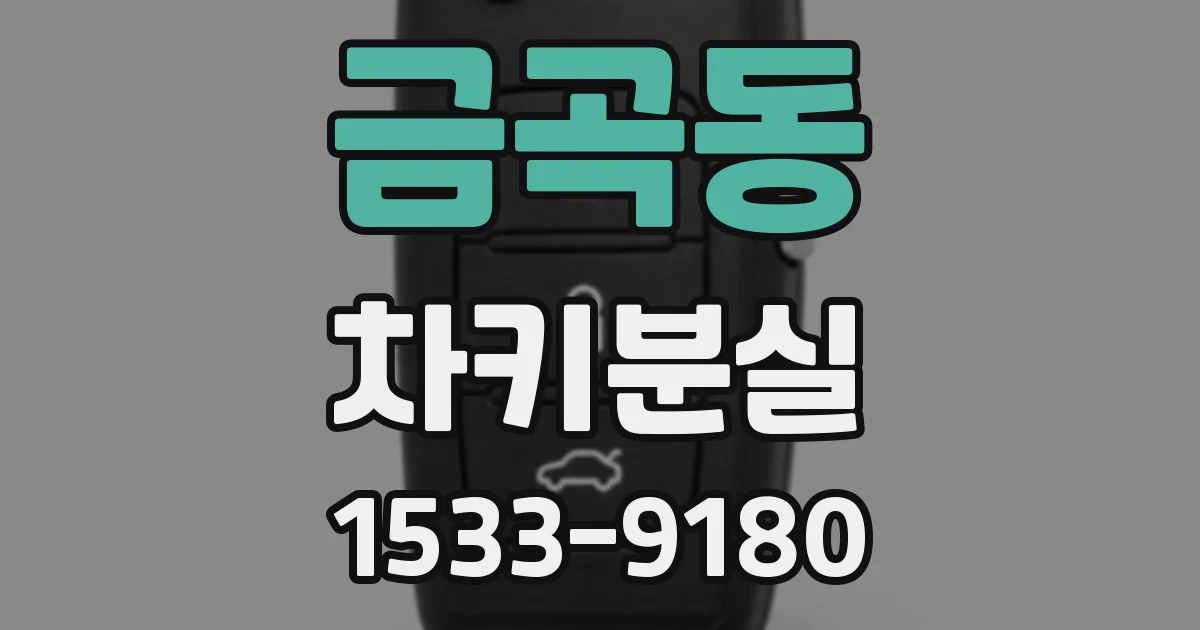 금곡동 차키분실