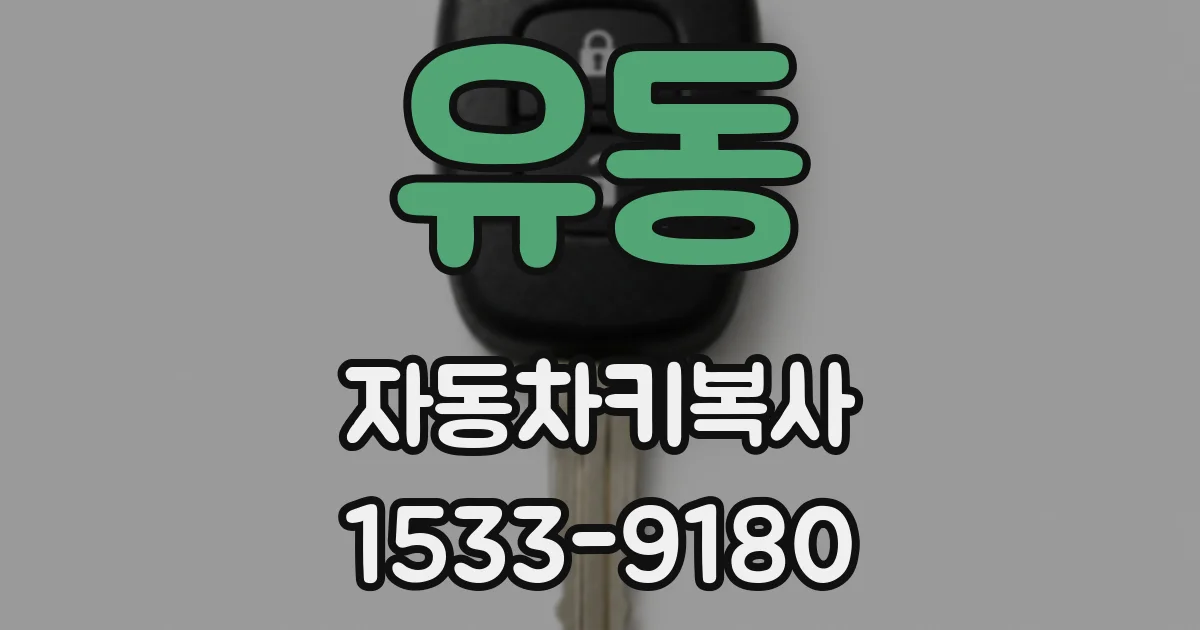 유동 자동차키복사