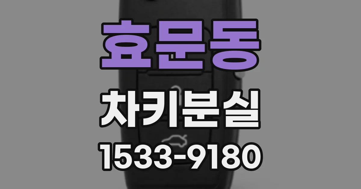 효문동 차키분실