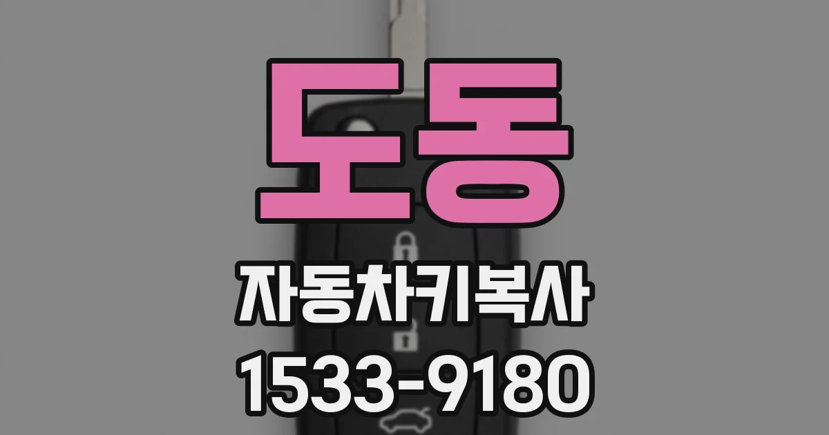 도동 자동차키복사