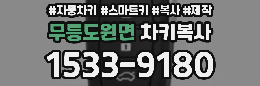 무릉도원면 차키복사