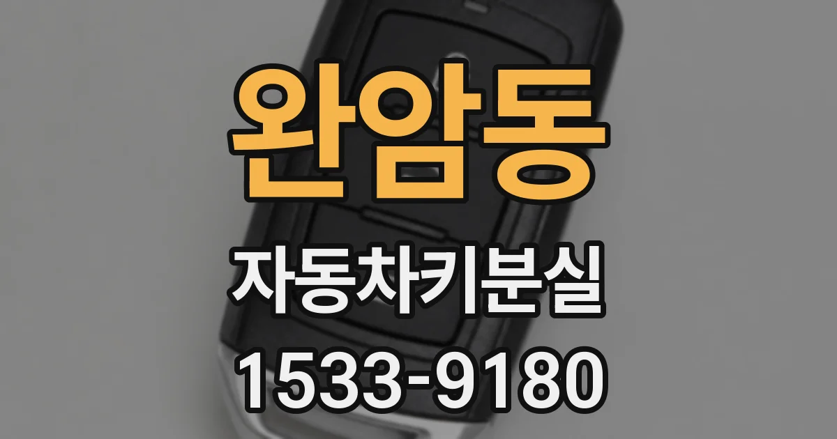 완암동 자동차키분실