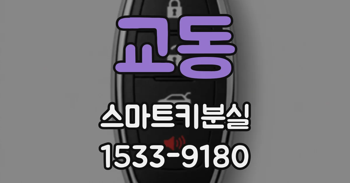 교동 스마트키분실