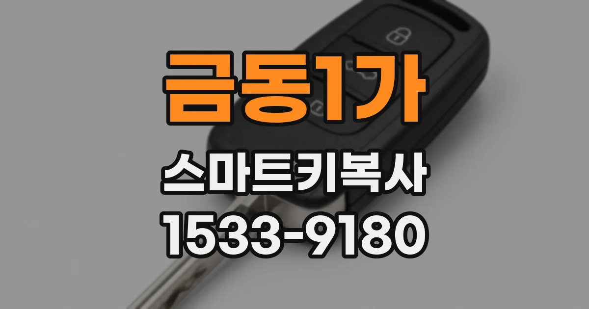 금동1가 스마트키복사