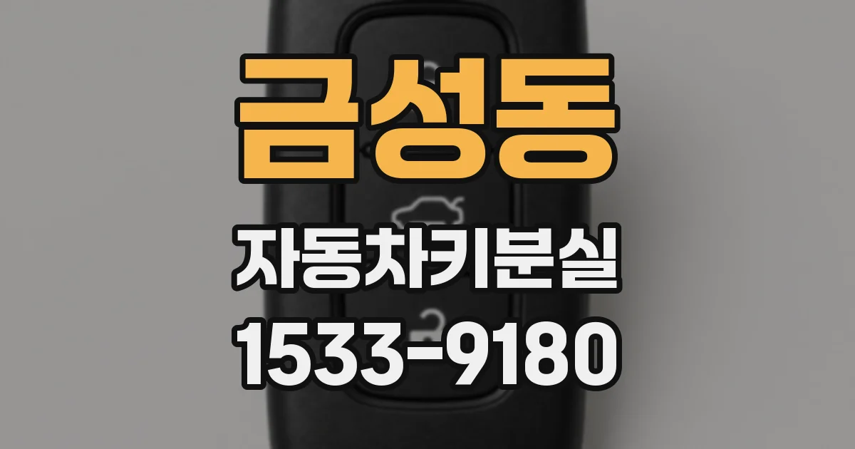 금성동 자동차키분실