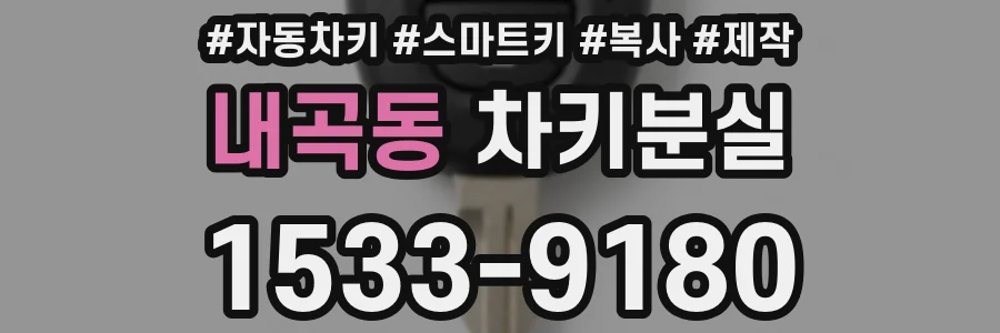 내곡동 차키분실