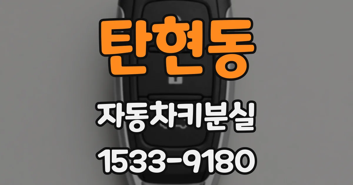 탄현동 자동차키분실