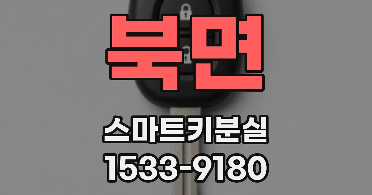 북면 스마트키분실