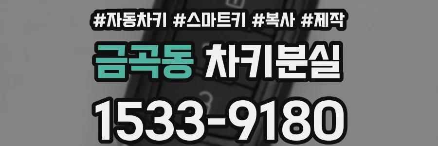 금곡동 차키분실