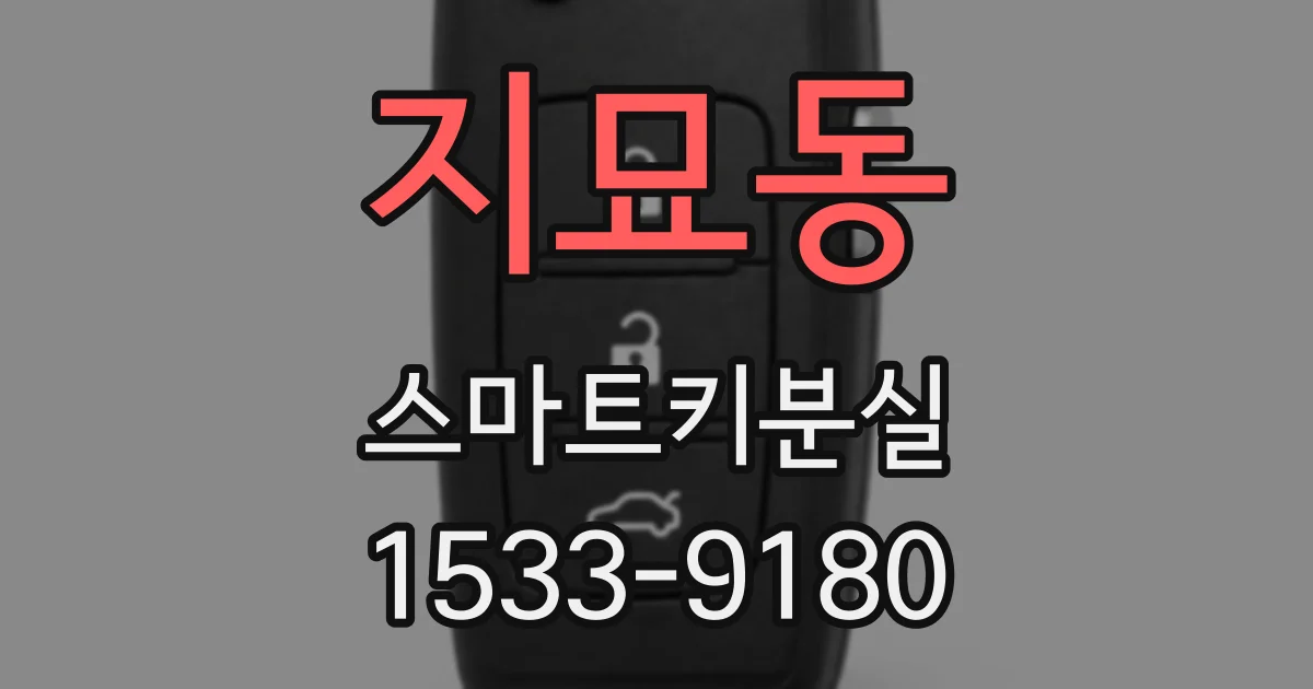 지묘동 스마트키분실