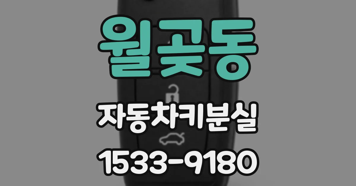 월곶동 자동차키분실