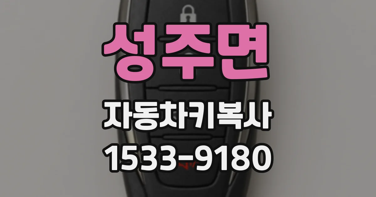 성주면 자동차키복사