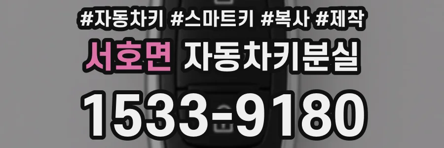 서호면 자동차키분실