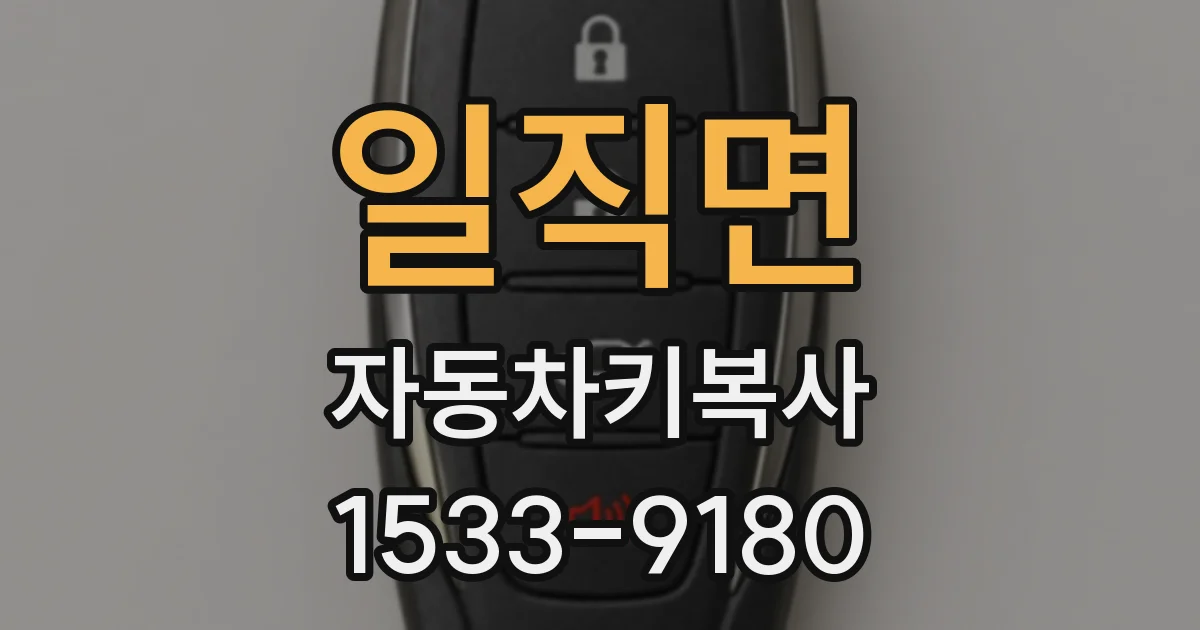 일직면 자동차키복사