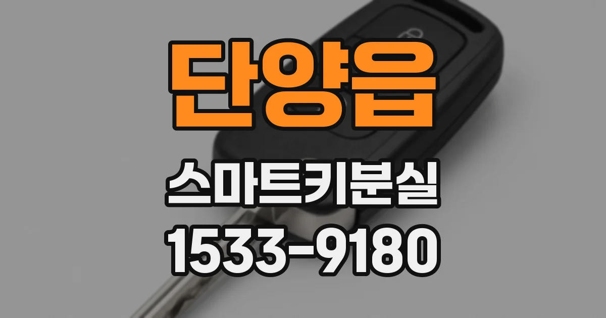 단양읍 스마트키분실