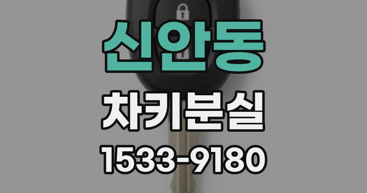 신안동 차키분실