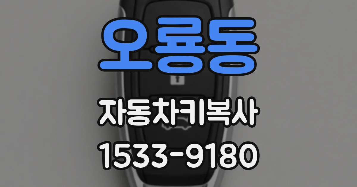 오룡동 자동차키복사