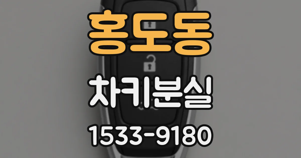홍도동 차키분실