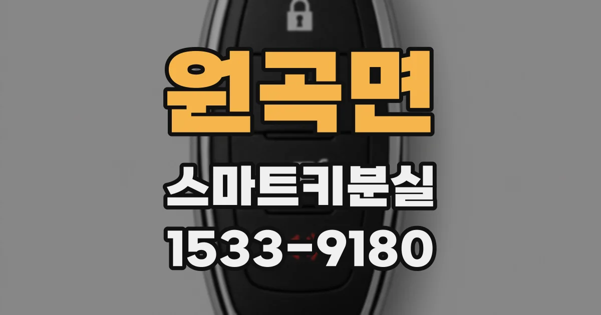 원곡면 스마트키분실