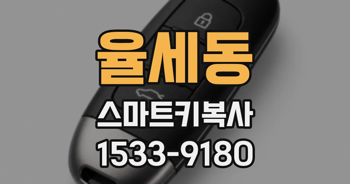 율세동 스마트키복사