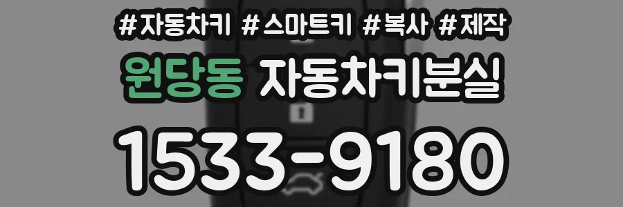 원당동 자동차키분실