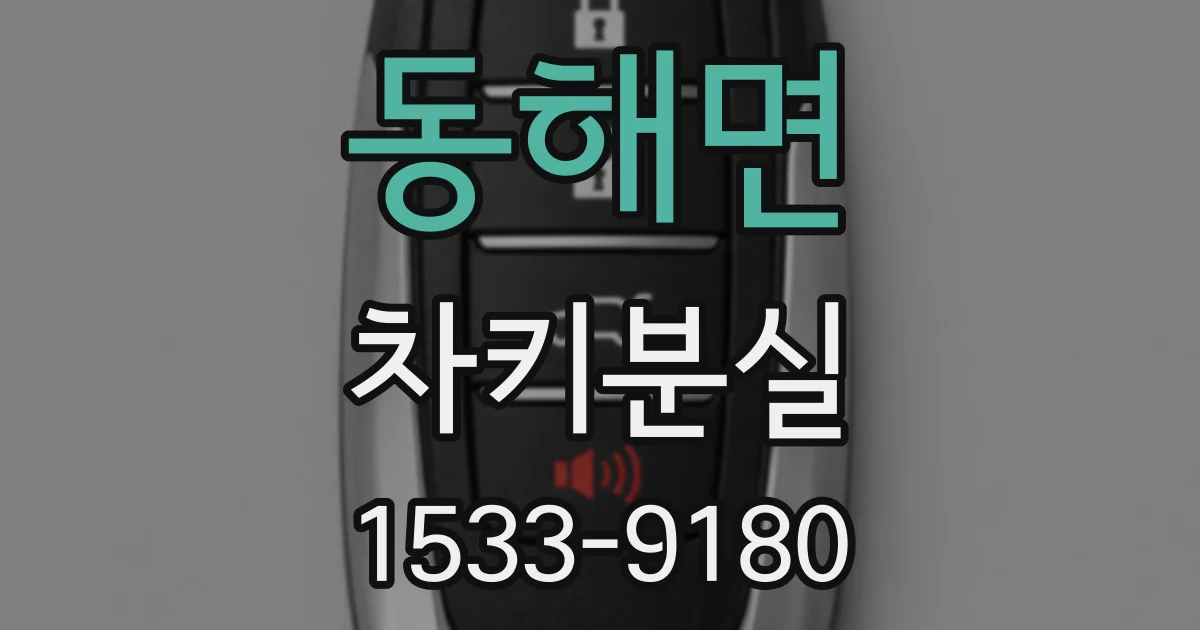 동해면 차키분실