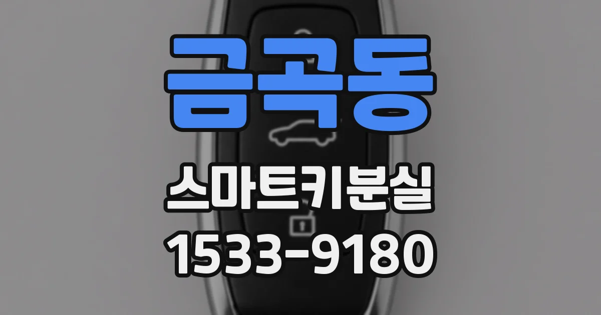 금곡동 스마트키분실