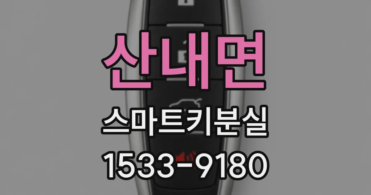 산내면 스마트키분실
