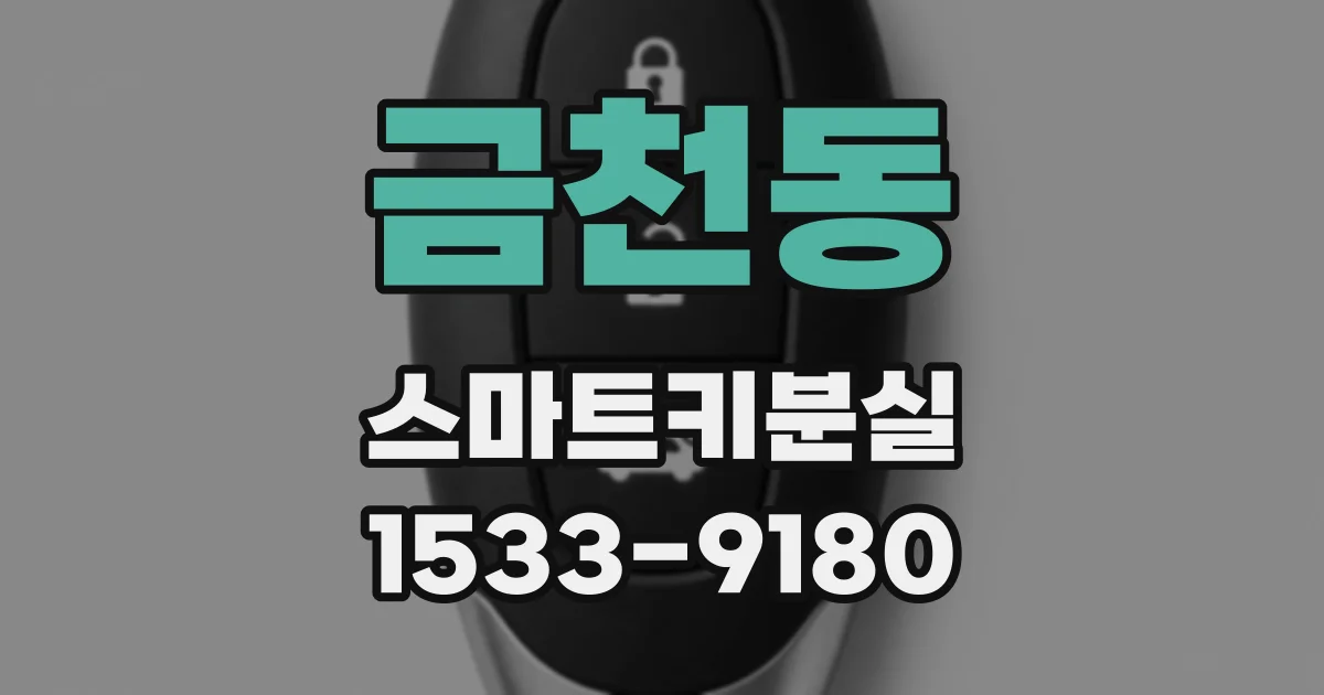 금천동 스마트키분실