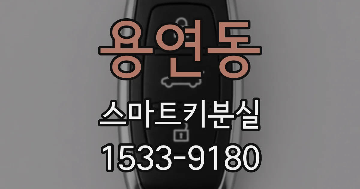 용연동 스마트키분실
