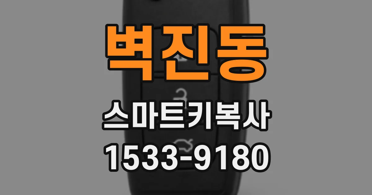 벽진동 스마트키복사