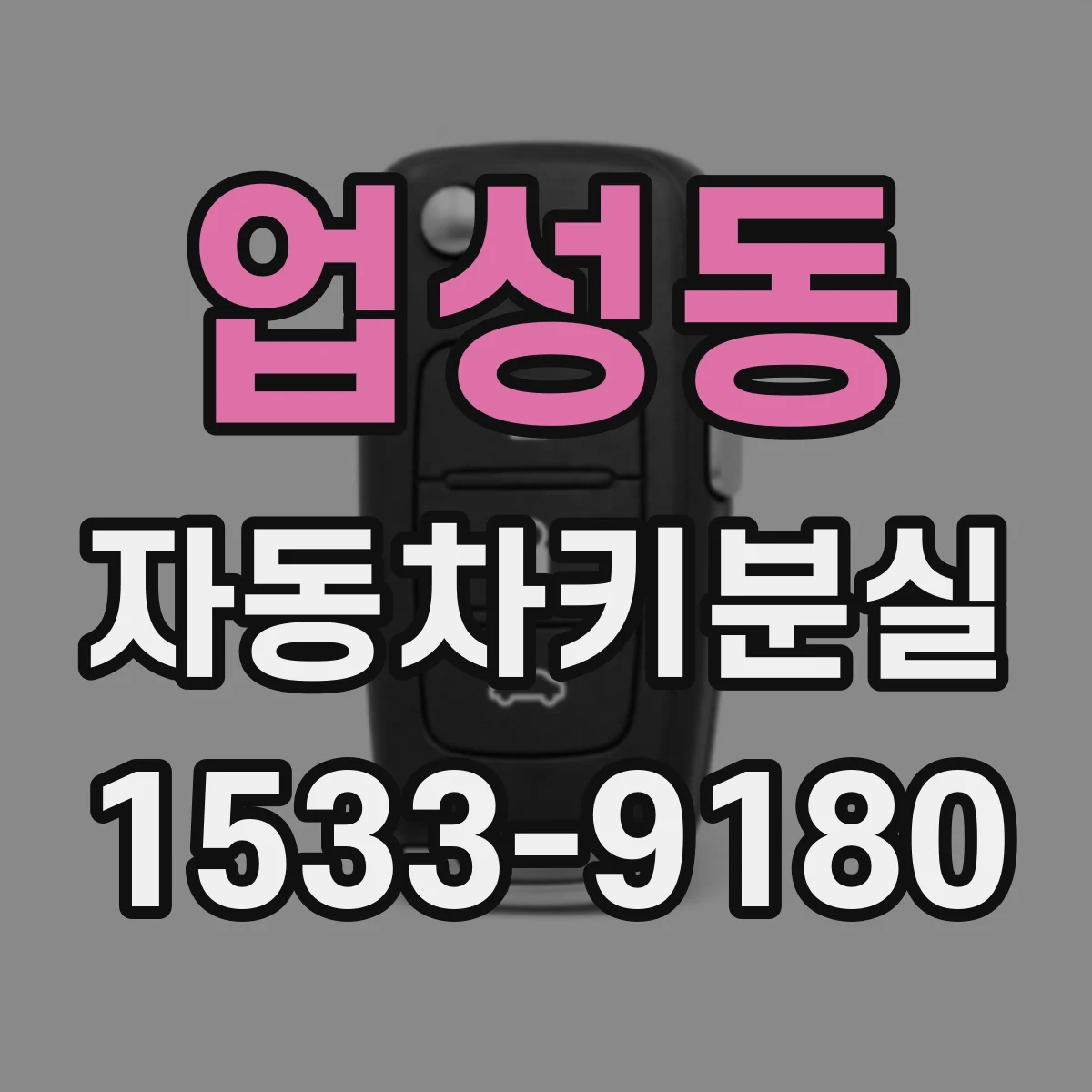 업성동 자동차키분실