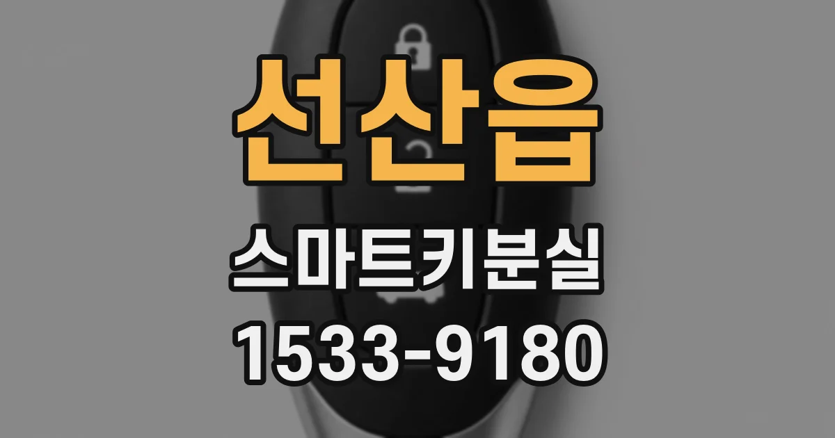 선산읍 스마트키분실