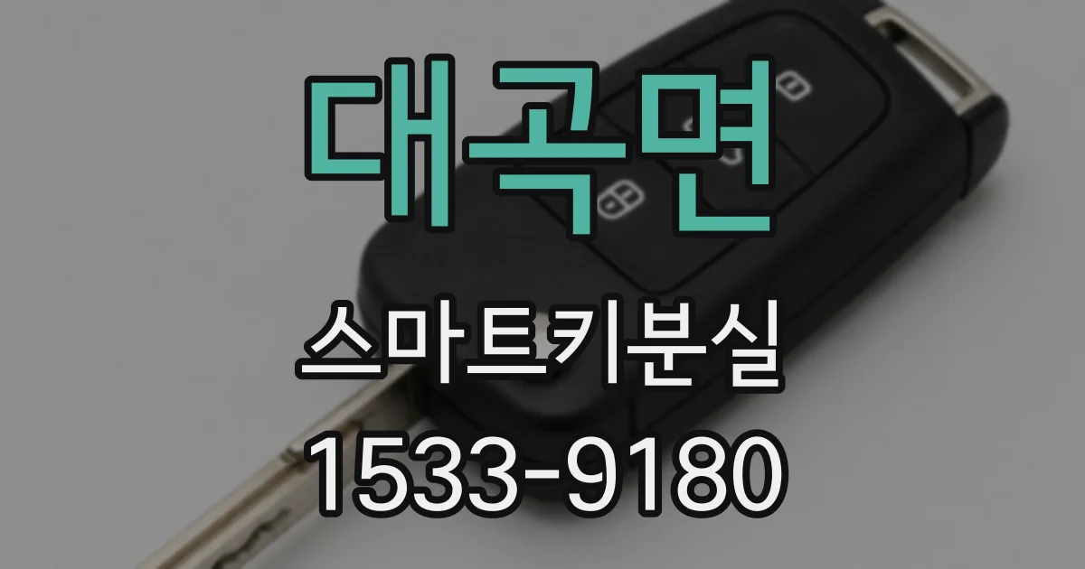 대곡면 스마트키분실