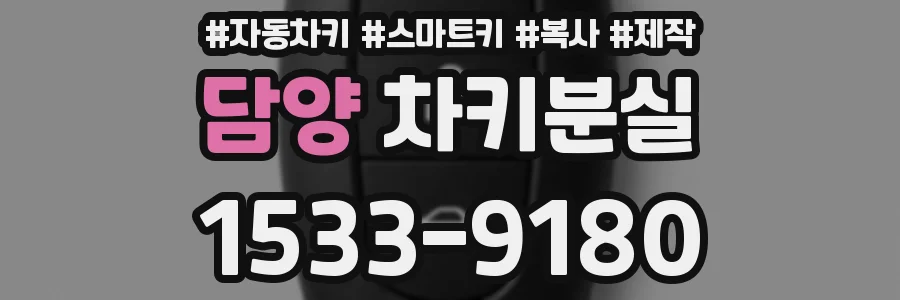 담양 차키분실