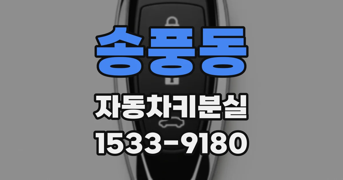 송풍동 자동차키분실