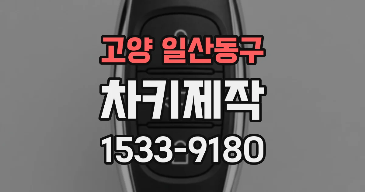 고양 일산동구 차키제작