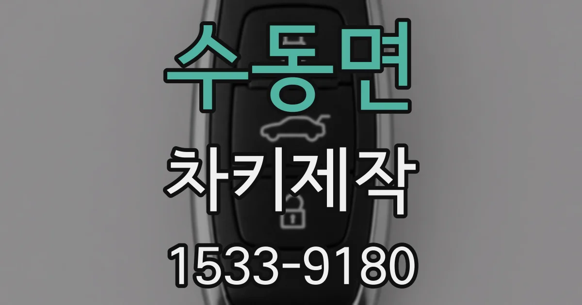 수동면 차키제작