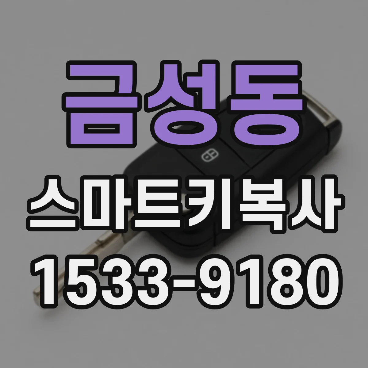 금성동 스마트키복사