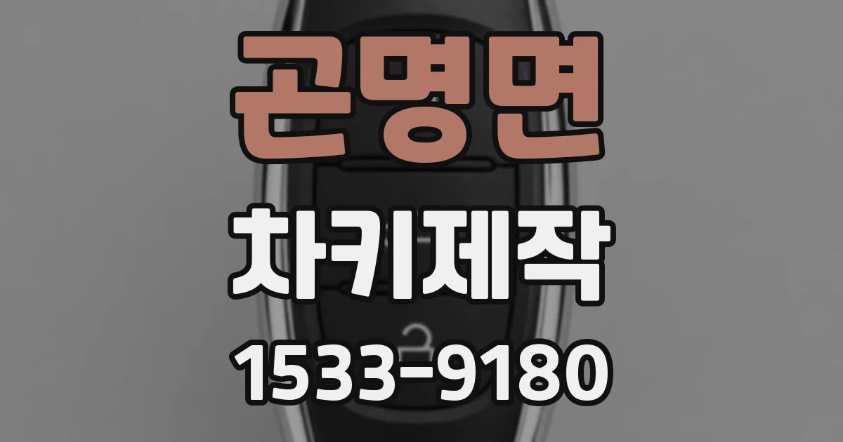 곤명면 차키제작